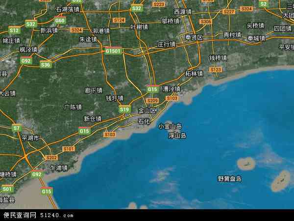 中国上海市金山区地图(卫星地图)